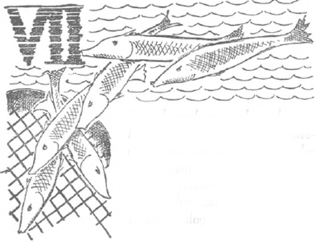 illustratie