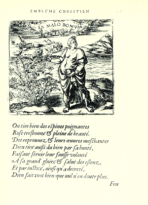 illustratie