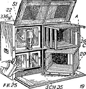 illustratie