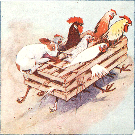 illustratie