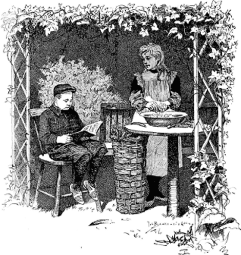 illustratie