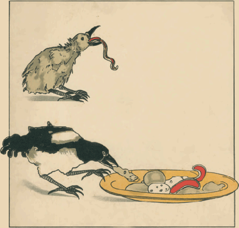 illustratie