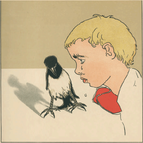 illustratie