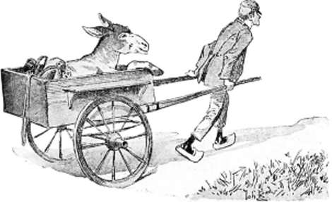 illustratie