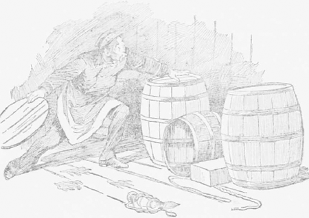 illustratie