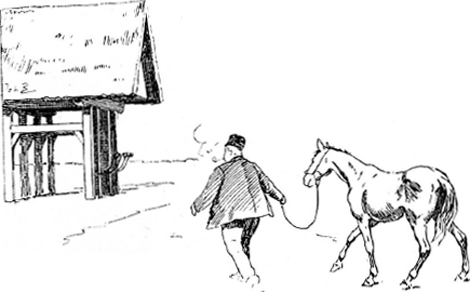illustratie