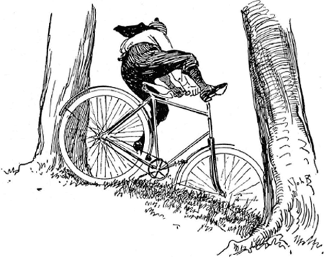 illustratie