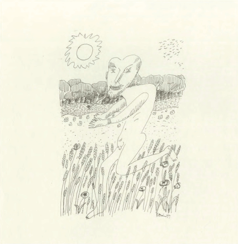 illustratie