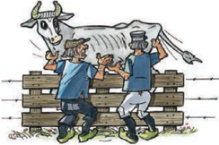 illustratie