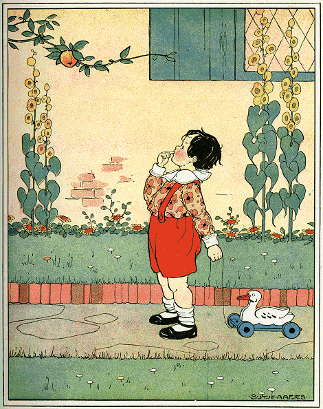 illustratie