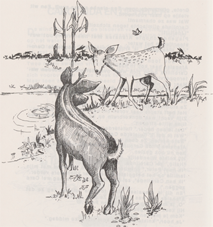 illustratie