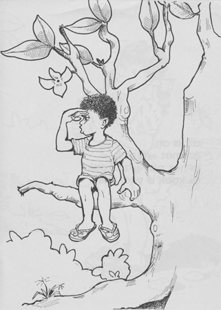 illustratie