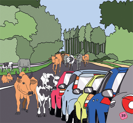 illustratie