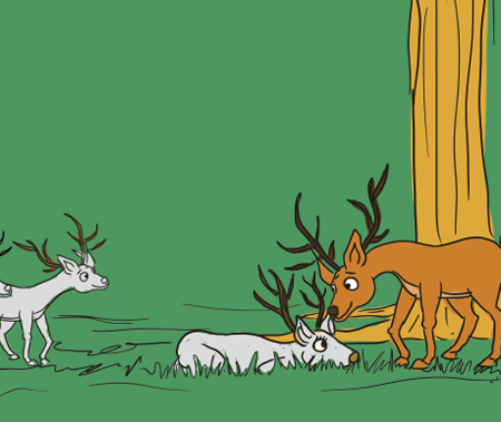 illustratie