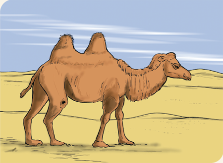 illustratie