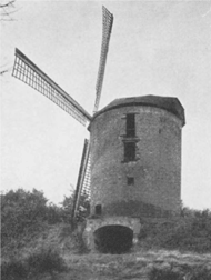 illustratie