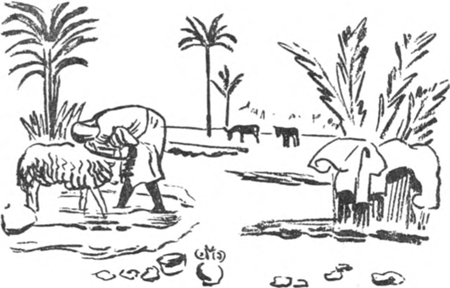 illustratie