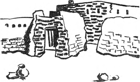illustratie