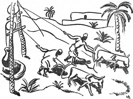 illustratie