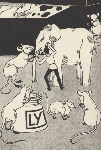 illustratie