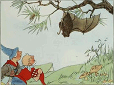 illustratie