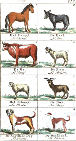 illustratie