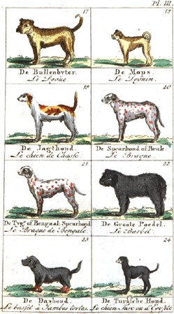 illustratie