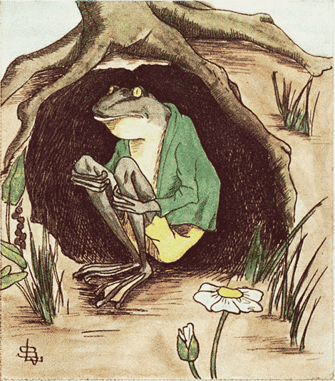 illustratie