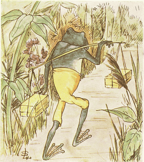 illustratie