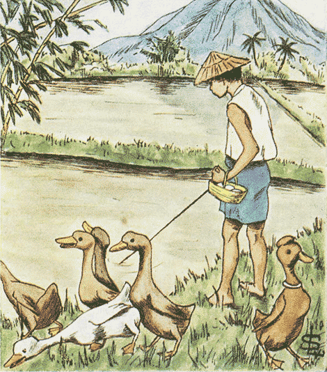 illustratie