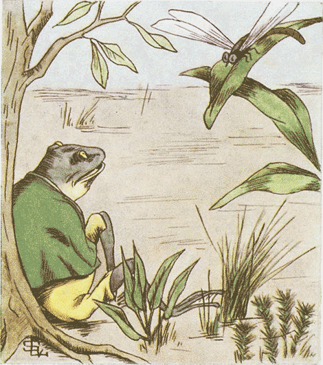 illustratie