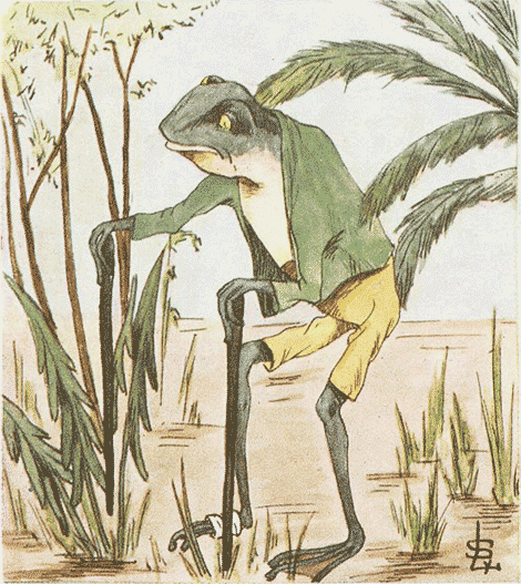 illustratie