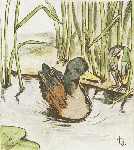 illustratie