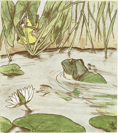illustratie
