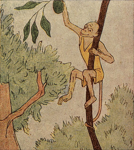 illustratie