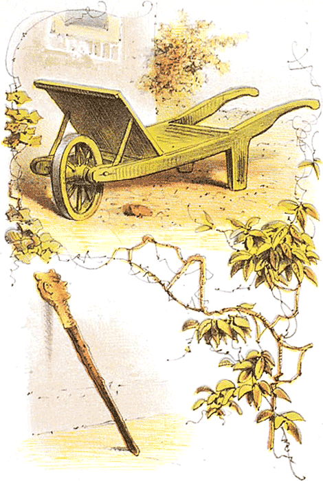 illustratie