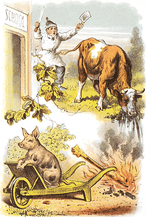 illustratie