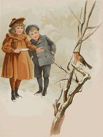 illustratie