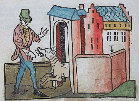 illustratie