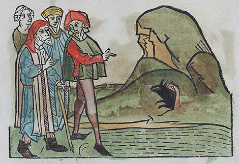 illustratie