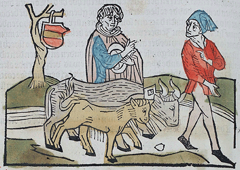 illustratie