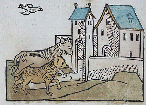 illustratie