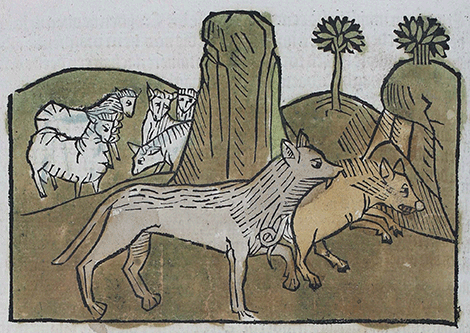 illustratie