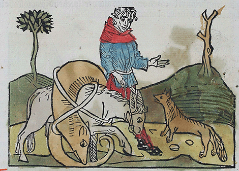 illustratie