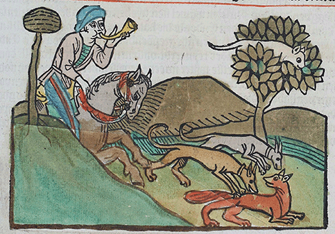 illustratie