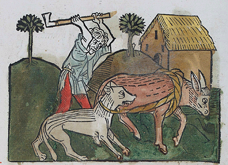 illustratie