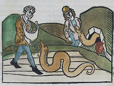 illustratie