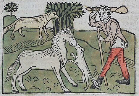 illustratie