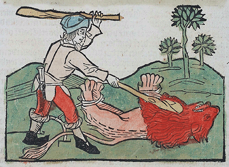 illustratie