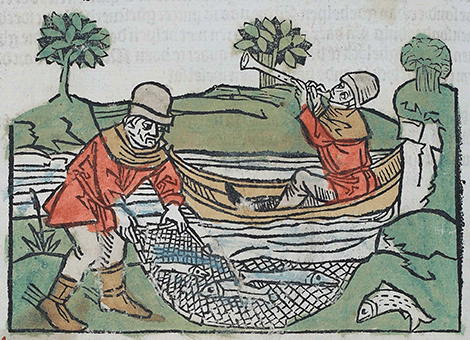 illustratie